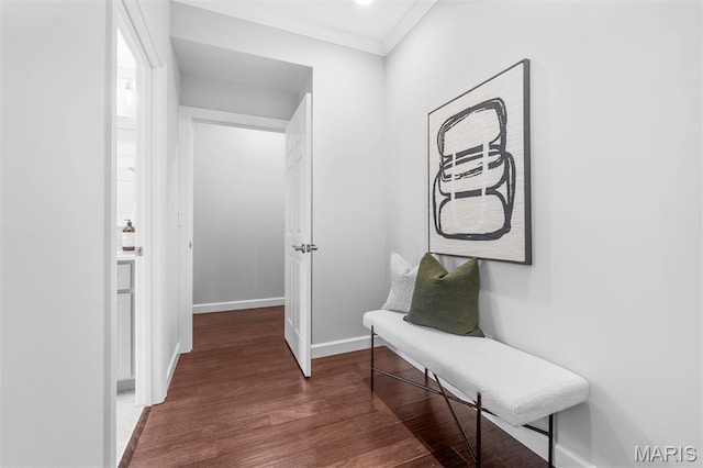 110 N Newstead Ave Unit 303, Saint Louis, MO 63108 - corridor featuring dark wood finished floors and ornamental molding