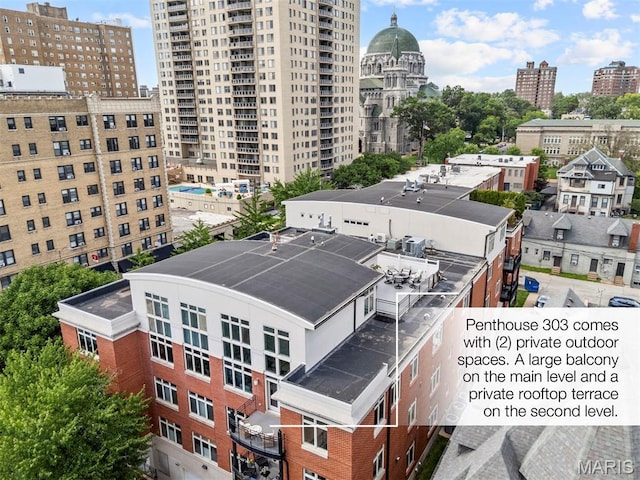 110 N Newstead Ave Unit 303, Saint Louis, MO 63108 - view of city