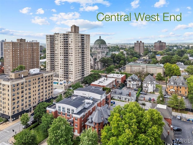 110 N Newstead Ave Unit 303, Saint Louis, MO 63108 - view of urban area