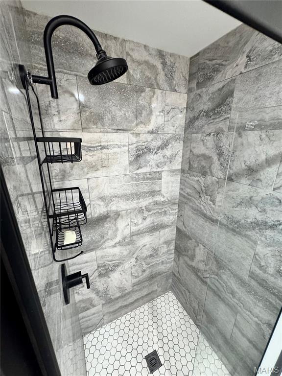 1311 W Line St, Palmyra, MO 63461 - bathroom featuring a stall shower