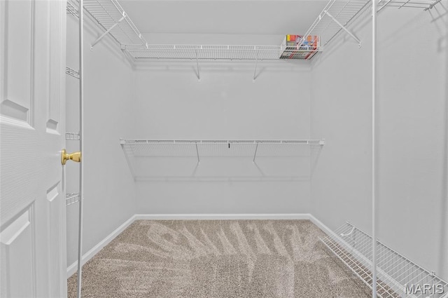 201 Mcclelland Dr, Troy, IL 62294 - walk in closet with carpet