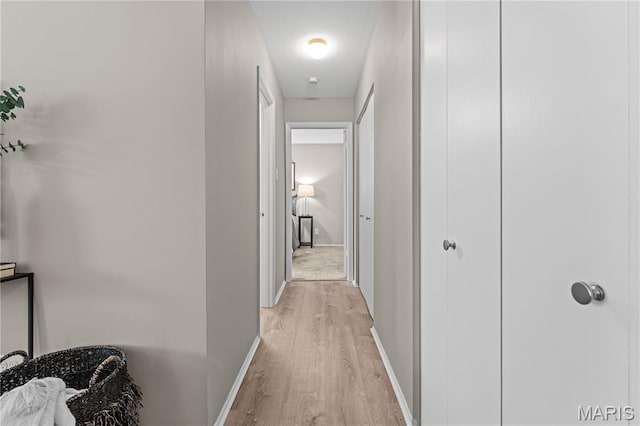 9003 Villaridge Ct Unit A, Affton, MO 63123 - hallway with light wood finished floors and baseboards