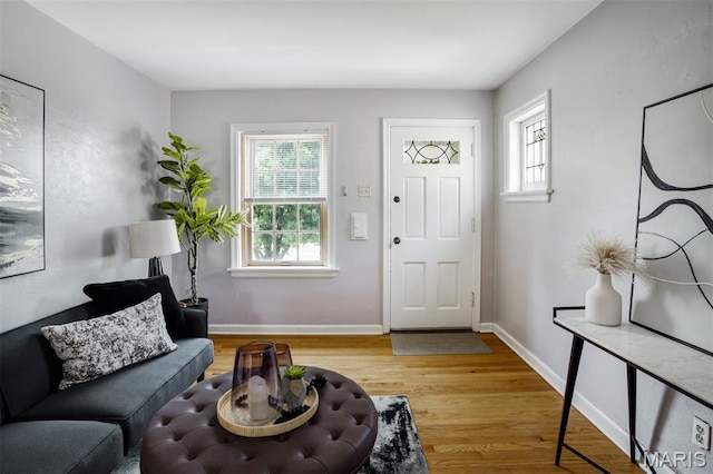 7041 Plainview Ave, Saint Louis, MO 63109 - living area with plenty of natural light and light wood-type flooring