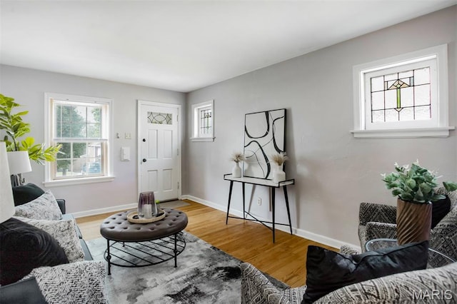 7041 Plainview Ave, Saint Louis, MO 63109 - living area featuring plenty of natural light and light wood-style floors