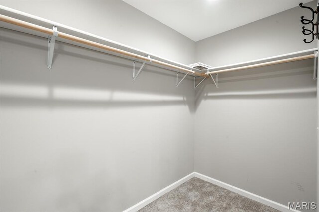 103 Lincoln Dr, Poplar Bluff, MO 63901 - photo 18