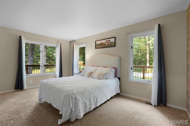 877 Red Fox Dr, Innsbrook, MO 63390 - bedroom featuring multiple windows and light colored carpet