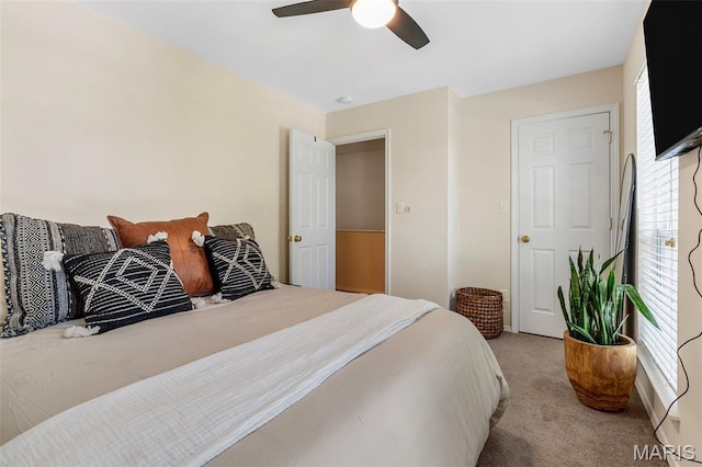 847 Boardwalk Springs Pl, Ofallon, MO 63368 - carpeted bedroom featuring multiple windows and a ceiling fan