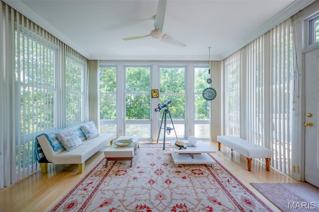 824 Legends View Dr, Eureka, MO 63025 - sunroom with wood finished floors and ornamental molding
