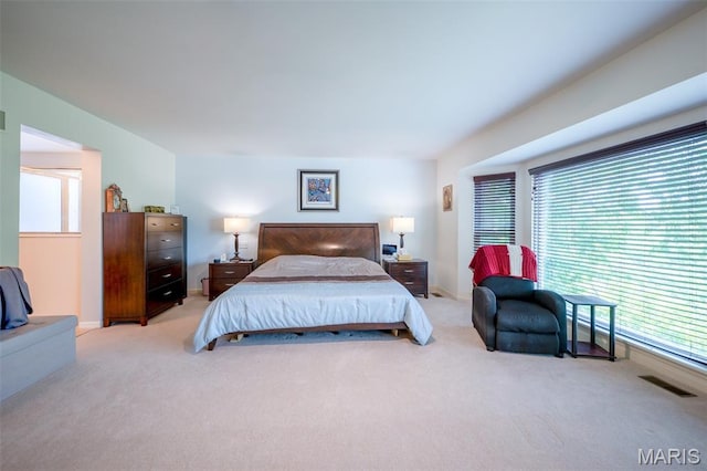 824 Legends View Dr, Eureka, MO 63025 - bedroom with carpet and multiple windows