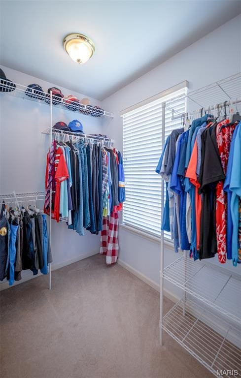 824 Legends View Dr, Eureka, MO 63025 - spacious closet with carpet flooring