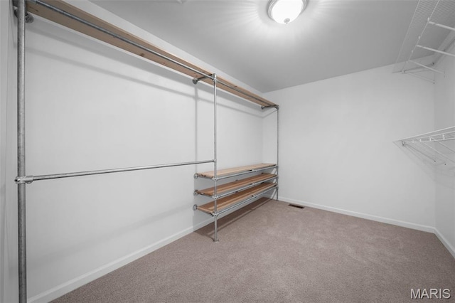 8 Dugout Ct, Ofallon, MO 63366 - spacious closet with carpet floors