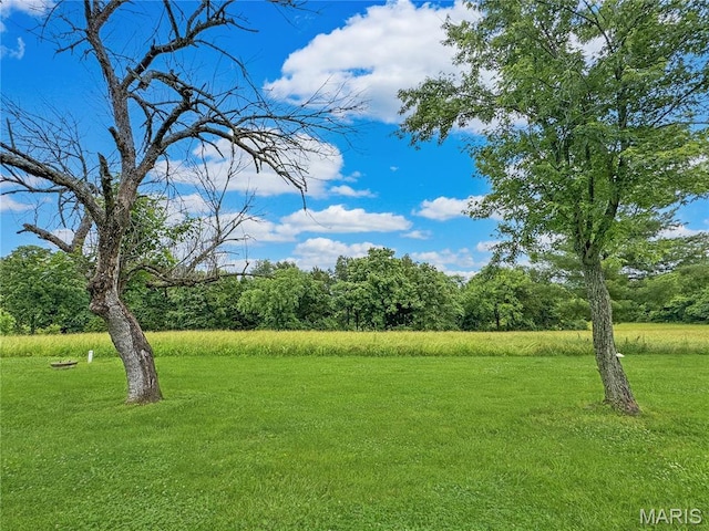 4423 Project Rd, Luebbering, MO 63061 - view of grassy yard