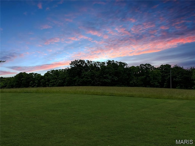 4423 Project Rd, Luebbering, MO 63061 - view of grassy yard featuring a forest view