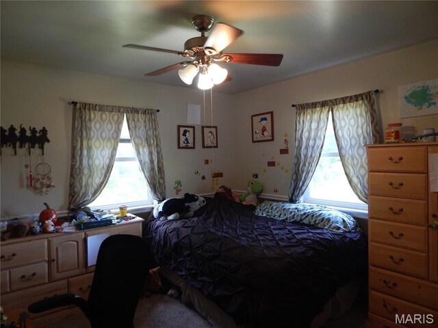 6230 Cuivre Ford Rd, Troy, MO 63379 - photo 38