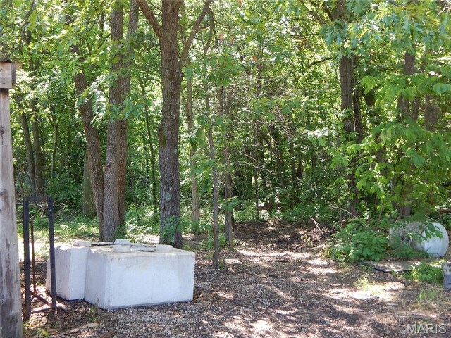 6230 Cuivre Ford Rd, Troy, MO 63379 - photo 65