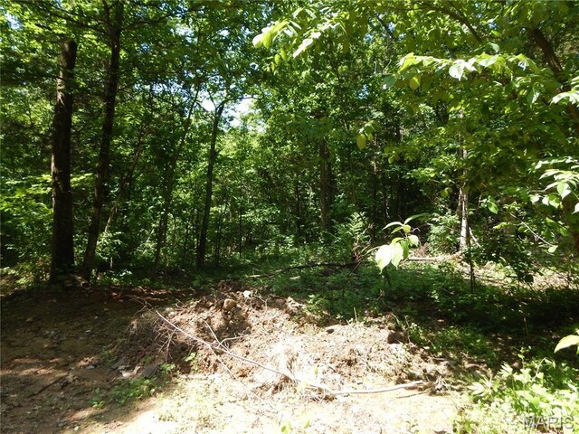 6230 Cuivre Ford Rd, Troy, MO 63379 - photo 67