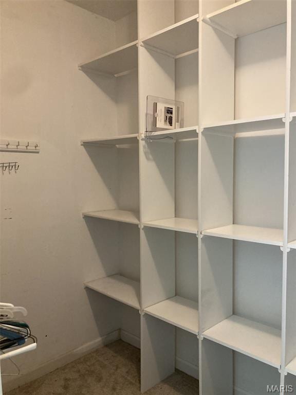 225 Country Crest Ln, Union, MO 63084 - spacious closet with carpet flooring