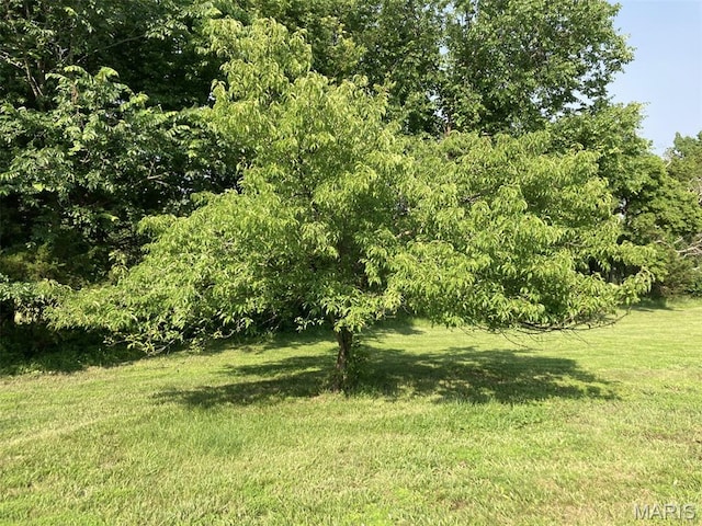 225 Country Crest Ln, Union, MO 63084 - view of green lawn