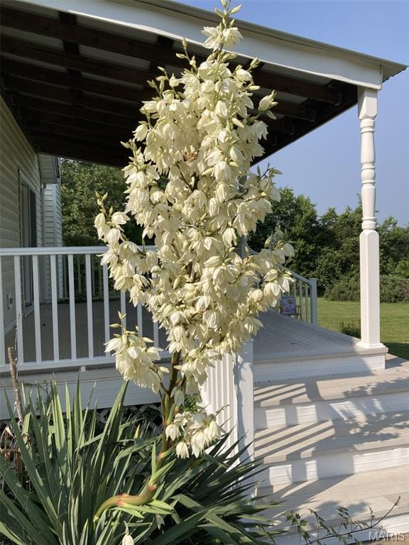 225 Country Crest Ln, Union, MO 63084 - exterior view