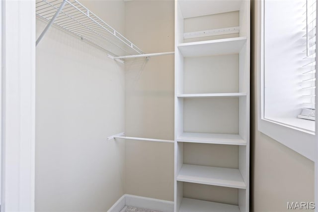 4220 Mcpherson Ave Unit 303, Saint Louis, MO 63108 - view of walk in closet