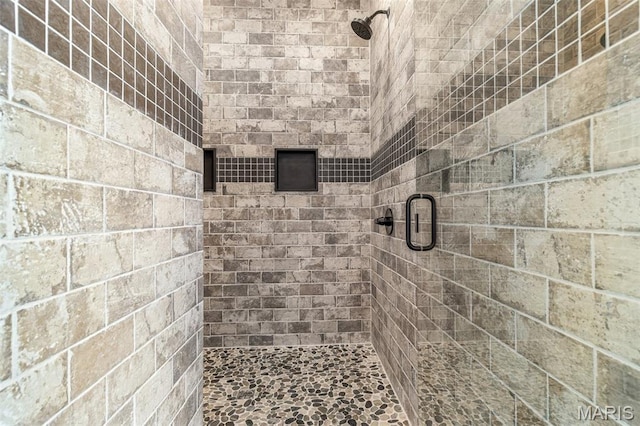 422 N 2nd St, De Soto, MO 63020 - bathroom with a shower stall