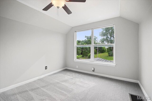 1200 Kenner St, Crystal City, MO 63019 - photo 18