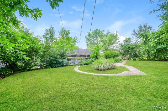 3702 E 106th Ter, Kansas City, MO 64137 - view of green lawn