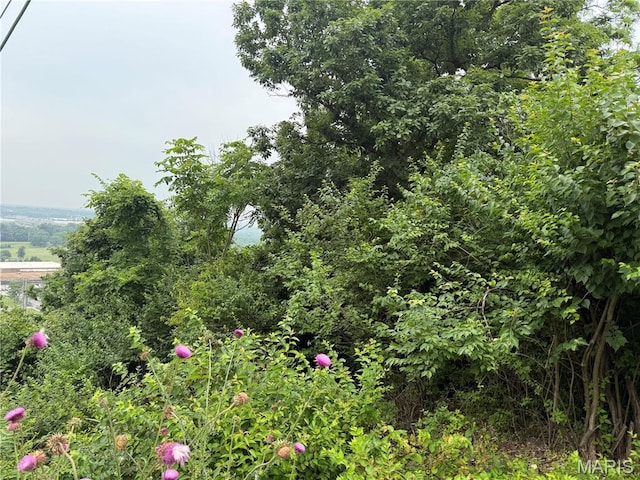 13010 Big Bend Rd, Saint Louis, MO 63122 - photo 2