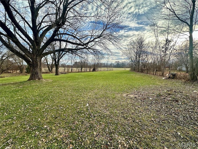 58798 Plevna Pl, Shelbyville, MO 63469 - view of green lawn