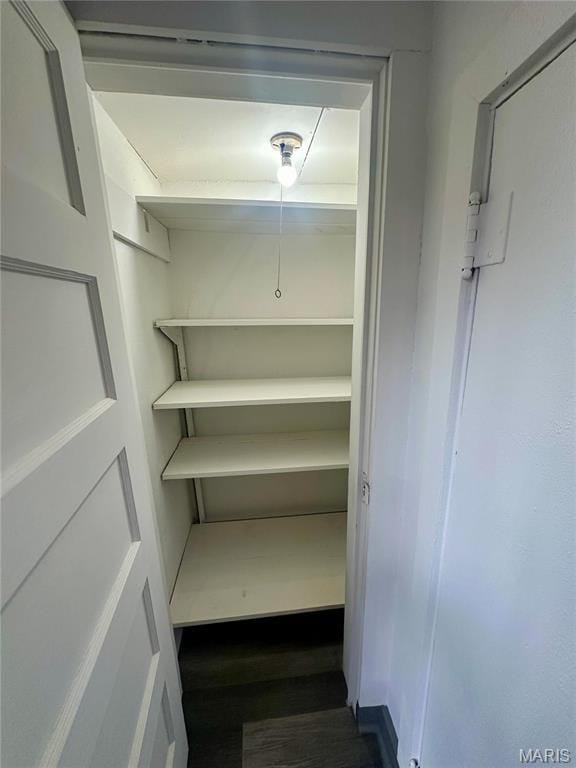 58798 Plevna Pl, Shelbyville, MO 63469 - view of closet