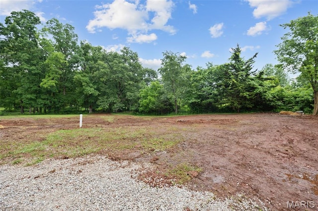10293 Strange Rd, Potosi, MO 63664 - view of yard with a view of trees