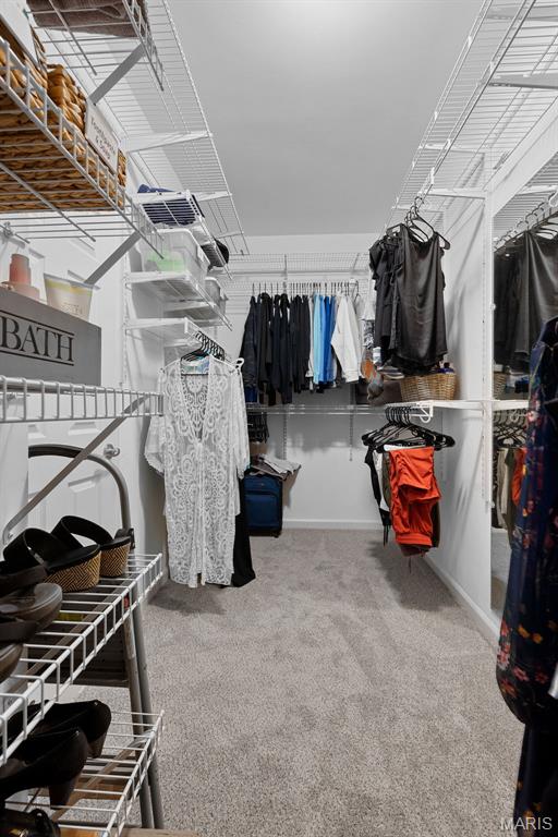 6 Wolverton Ct, Saint Charles, MO 63301 - walk in closet featuring carpet floors