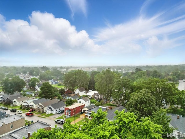 4934 Tiemann Ave, Saint Louis, MO 63123 - aerial view of residential area