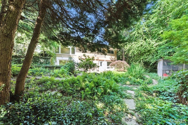 3 Cardigan Ln, Saint Louis, MO 63135 - view of yard