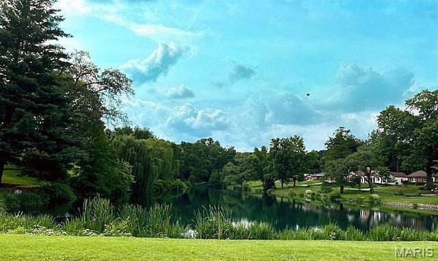 3 Cardigan Ln, Saint Louis, MO 63135 - water view