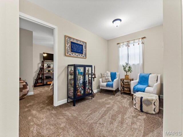 1115 Piper Ln, Mascoutah, IL 62258 - photo 28