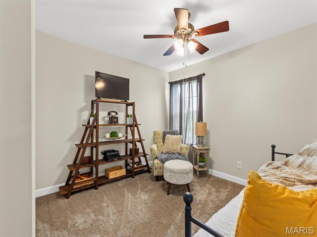 1115 Piper Ln, Mascoutah, IL 62258 - photo 30