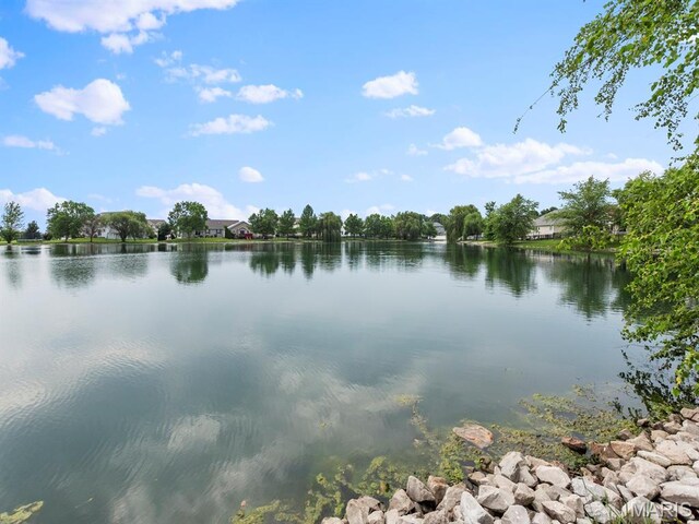 1115 Piper Ln, Mascoutah, IL 62258 - photo 49