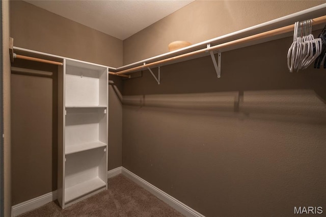 111 Brush Creek Pkwy, Saint Robert, MO 65584 - spacious closet featuring dark colored carpet