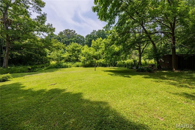 1131 Kimbel Ln, Jackson, MO 63755 - view of green lawn
