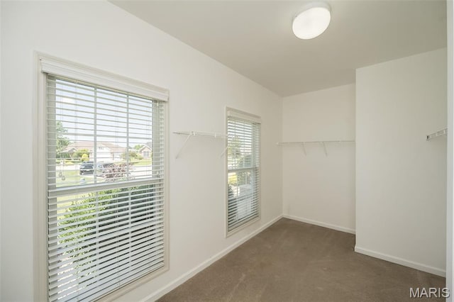 86 Homefield Square Ct, Ofallon, MO 63366 - walk in closet featuring carpet floors