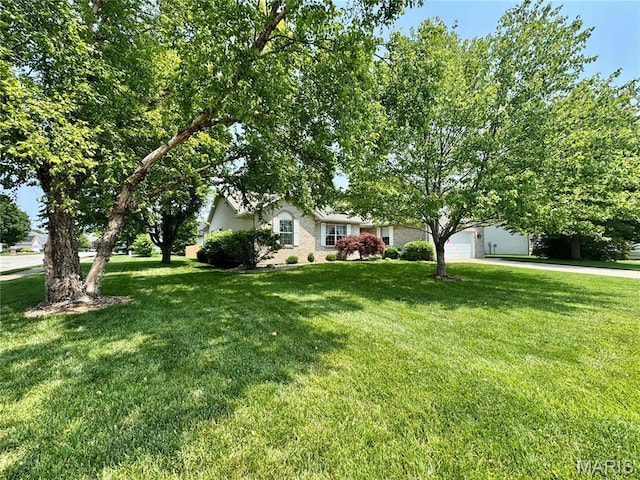 829 Clemson Ave, Fairview Heights, IL 62208 - view of front of home with a front lawn and driveway