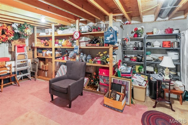 829 Clemson Ave, Fairview Heights, IL 62208 - view of storage room