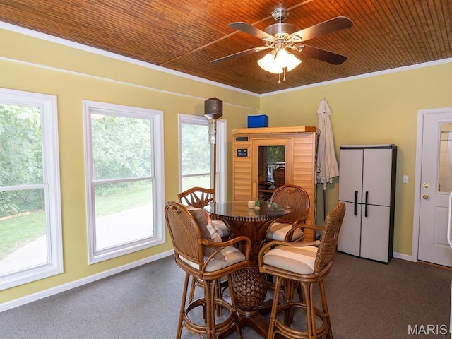 1889 Bay Ave, Hannibal, MO 63401 - photo 37