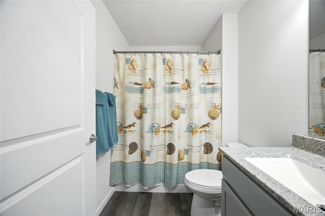 1575 Hickory Lndg, De Soto, MO 63020 - bathroom featuring wood finished floors, vanity, and curtained shower