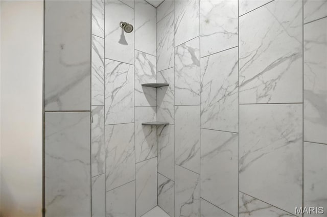 1575 Hickory Lndg, De Soto, MO 63020 - bathroom view of tiled shower
