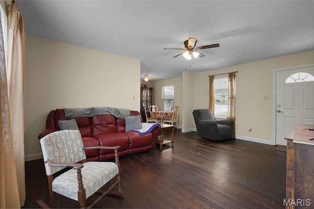 351 Orion Dr, De Soto, MO 63020 - living room with ceiling fan, wood-type flooring, and a textured ceiling