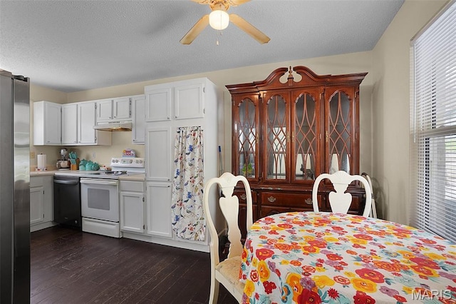 351 Orion Dr, De Soto, MO 63020 - kitchen featuring white electric range, dishwasher, under cabinet range hood, stainless steel fridge, and ceiling fan