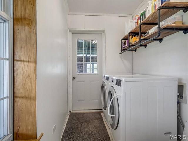 1767 Ames Rd, Prairie Du Rocher, IL 62277 - laundry room with washer and clothes dryer and carpet flooring