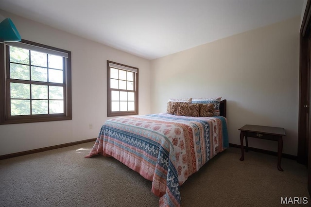 2259 Sycamore Dr, Chesterfield, MO 63017 - photo 21
